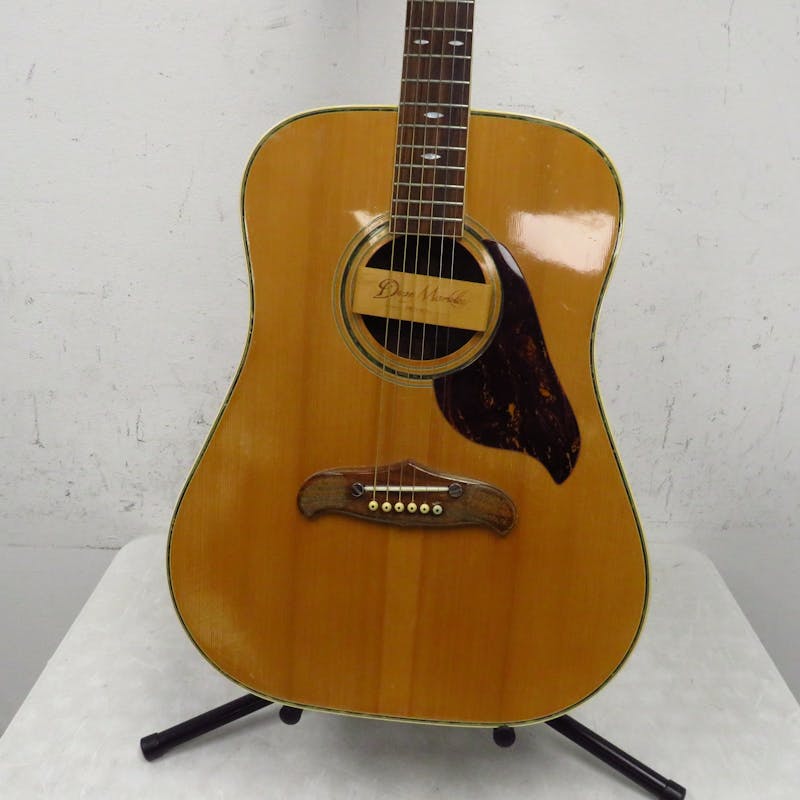 Used Ventura V14 Acoustic Guitar with Pickup