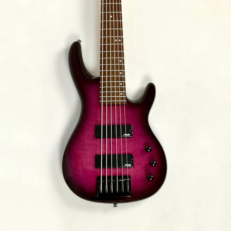 Used Alvarez 6-STRING Bass Guitar Purple